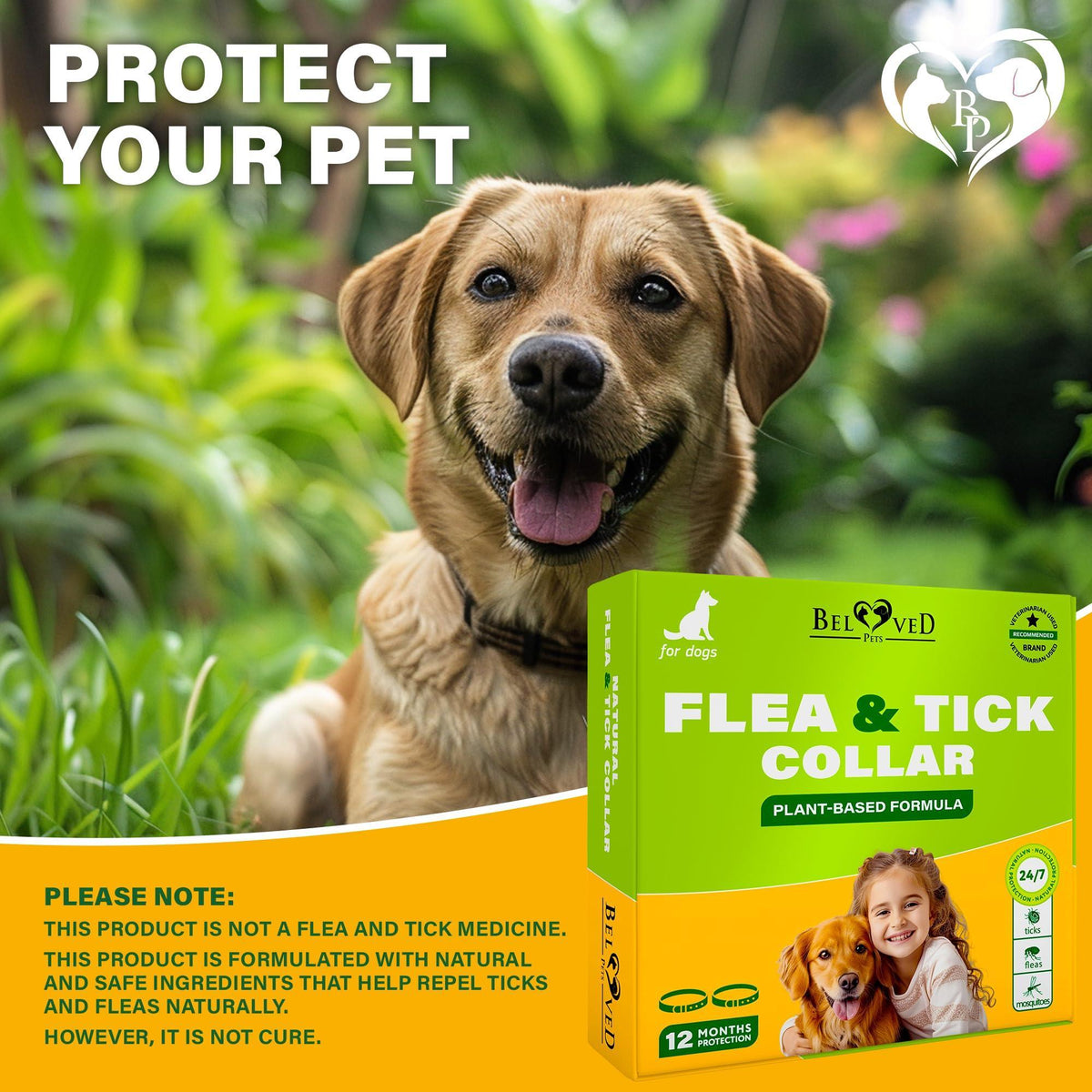 Flea & Tick Collar for Dogs 6-Month Protection Essential Oil 2 Count