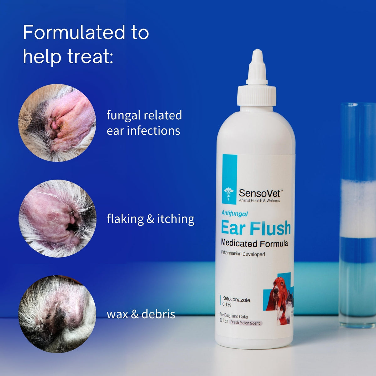Medicated Ear Flush for Dogs & Cats - 8oz