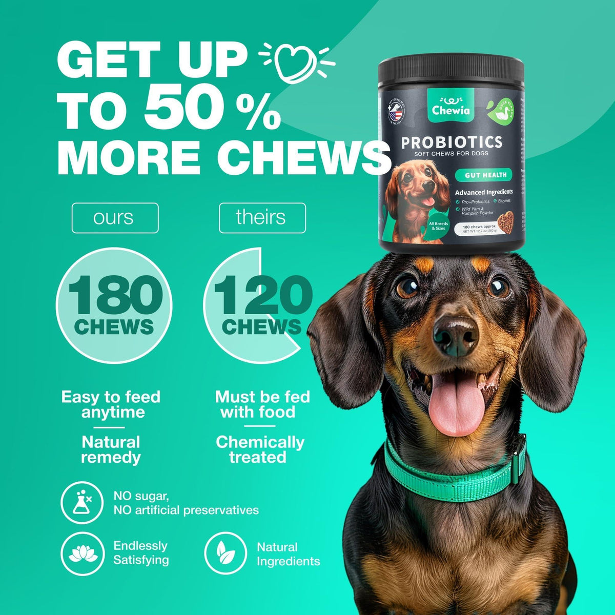 Probiotics for Dogs Digestive Enzymes Gut Health Pumpkin & Yeast Powder